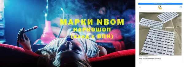 дурь Няндома