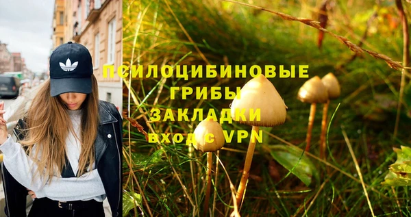 гидра Осинники