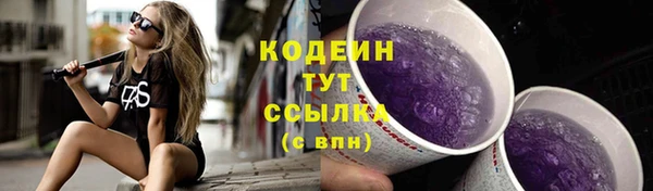 дурь Няндома