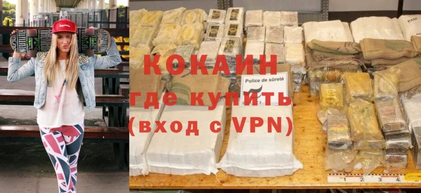 дурь Няндома