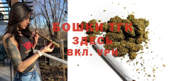 дурь Няндома