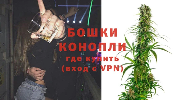 дурь Няндома