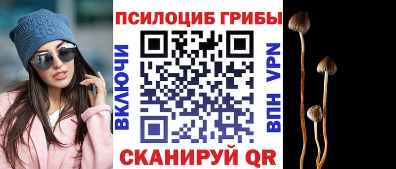 Псилоцибиновые грибы мицелий  купить закладку  OMG ТОР  Шарыпово 